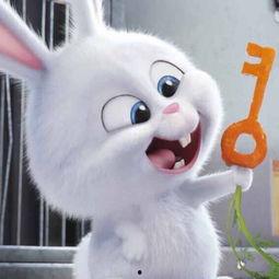 娱乐吃瓜小兔子小说,小兔子吃瓜记  第2张 娱乐吃瓜小兔子小说,小兔子吃瓜记  第2张