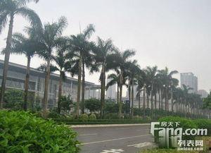 江门蓬江区爆料案件最新,案情揭秘,真相大白!  第3张 江门蓬江区爆料案件最新,案情揭秘,真相大白!  第3张