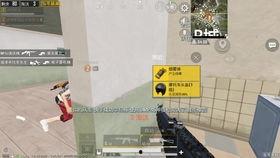 和平精英最新爆料 旭升,和平精英新势力崭露头角  第3张 和平精英最新爆料 旭升,和平精英新势力崭露头角  第3张