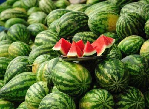 吃瓜事件网红2024,网络风云再起  第3张 吃瓜事件网红2024,网络风云再起  第3张