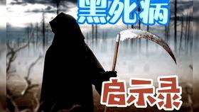 古董商黑鸦爆料视频大全,视频大全背后的珍稀古董故事  第3张