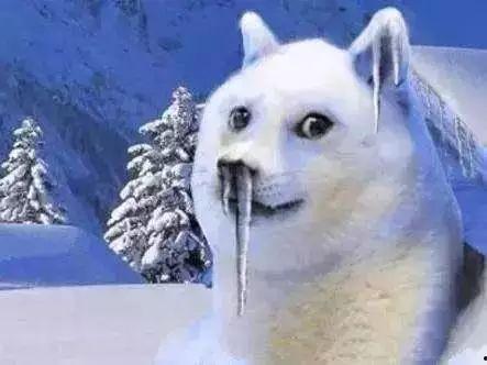 胖猫知情人爆料抖音视频,胖猫知情人爆料幕后真相  第3张 胖猫知情人爆料抖音视频,胖猫知情人爆料幕后真相  第3张